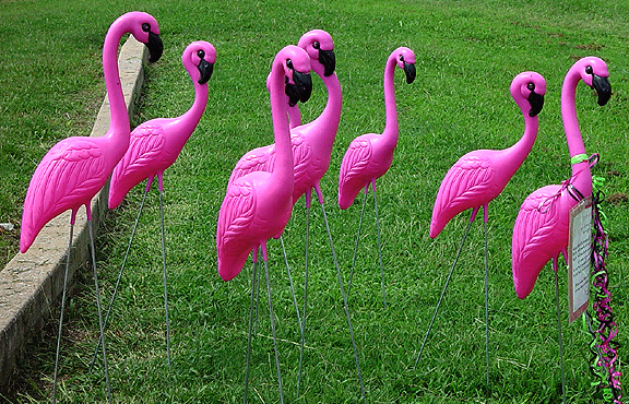 9 out of 10 Flamingos recommend "Don't forget to FLOCK!"